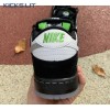 Dunk Low Pro SB 'Panda Pigeon' Men's