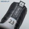 Air Jordan 12 