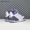 Air Jordan 3 Dark Iris CT8532-105 Men's