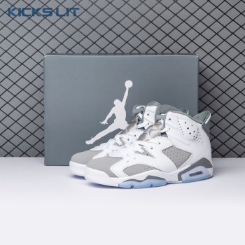 Air Jordan 6 Cool Grey CT8529-100 Men's