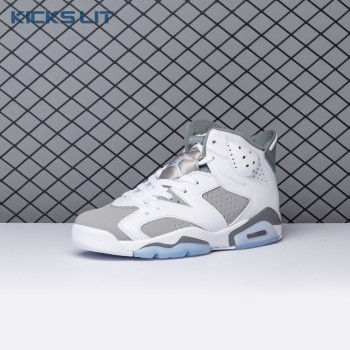 Air Jordan 6 Cool Grey CT8529-100 Men's