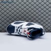 Air Jordan 6 