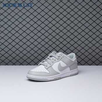 NIKE Dunk Low Retro Grey Fog DD1391-103 Unisex