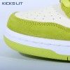 NIKE SB DUNK LOW PRO SOUR APPLE Unisex