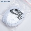 Nike Dunk Low Roperse Whis Men's