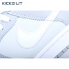 Nike Dunk Low Two Tone Grey Unisex