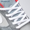 Nike SB Dunk Low Staple NYC Pigeon 304292-011 Unisex
